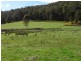 200 Perrys Road, Forthside TAS 7310