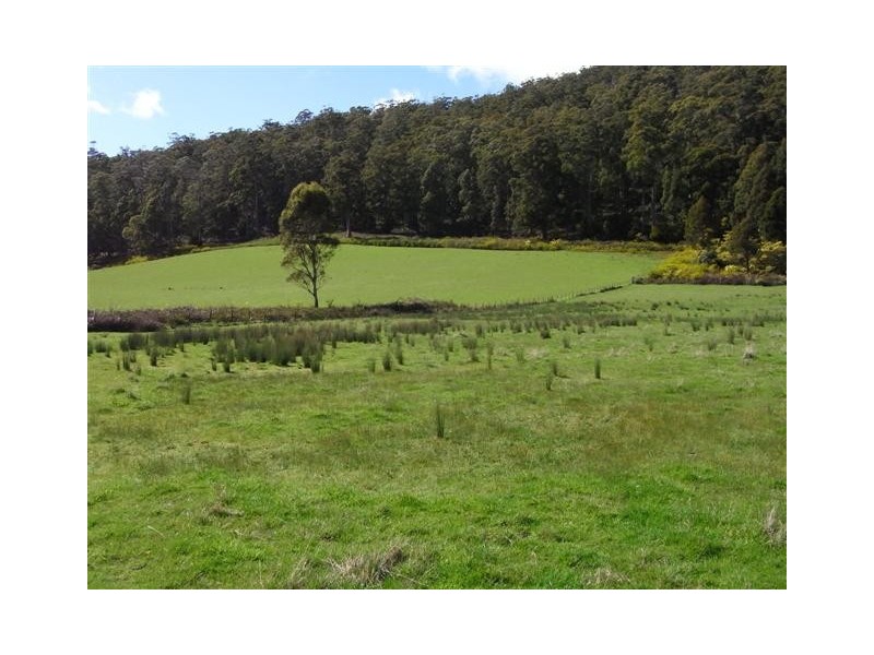 200 Perrys Road, Forthside TAS 7310
