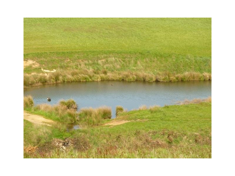 697 Nook Rd, Nook TAS 7306