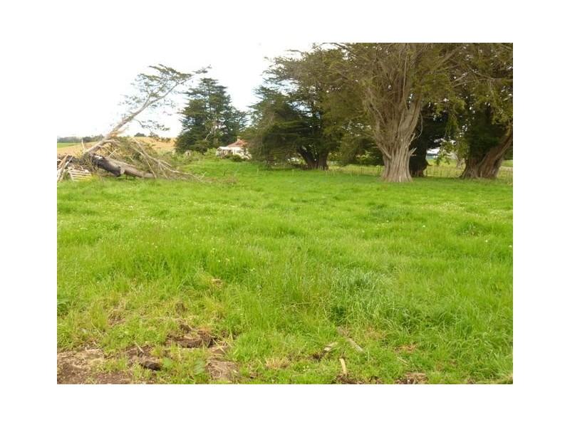 585 West Kentish Road, West Kentish TAS 7306