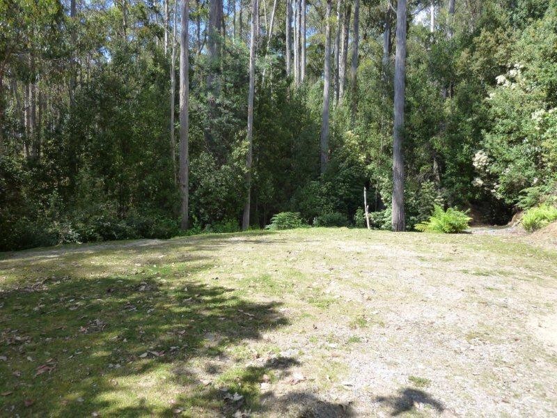 117 Luttrells Road, West Kentish, Sheffield TAS 7306