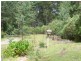 110 McCoys Road, Sheffield TAS 7306