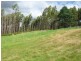311 Staverton Road, Promised Land TAS 7306