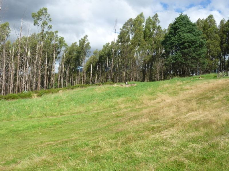 311 Staverton Road, Promised Land TAS 7306