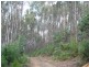 311 Staverton Road, Promised Land TAS 7306
