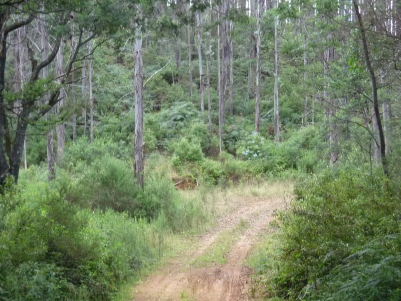 311 Staverton Road, Promised Land TAS 7306