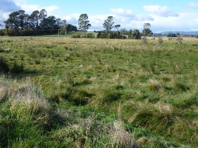 1 Spring Street, Sheffield TAS 7306