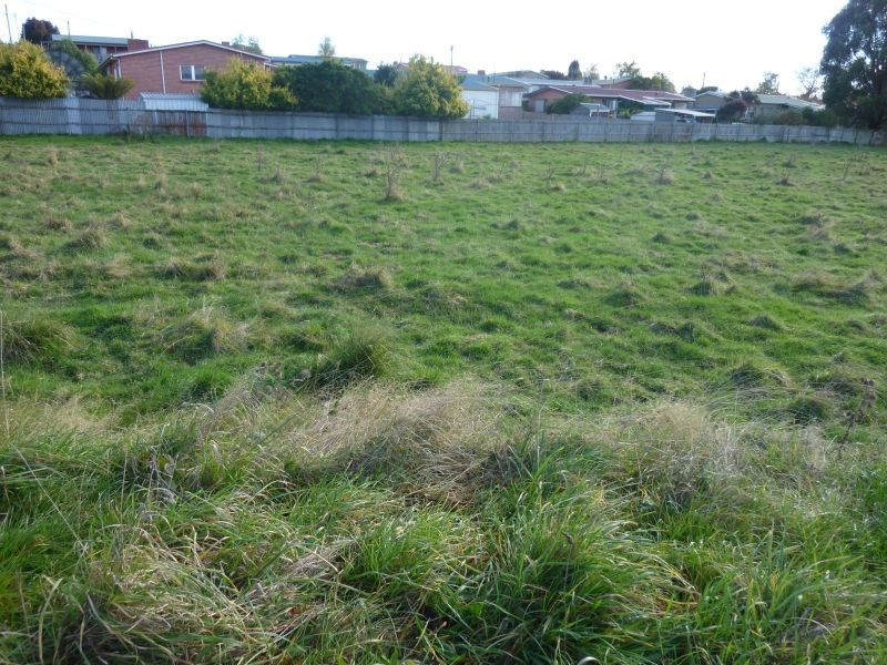 1 Spring Street, Sheffield TAS 7306