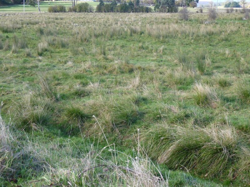 1 Spring Street, Sheffield TAS 7306