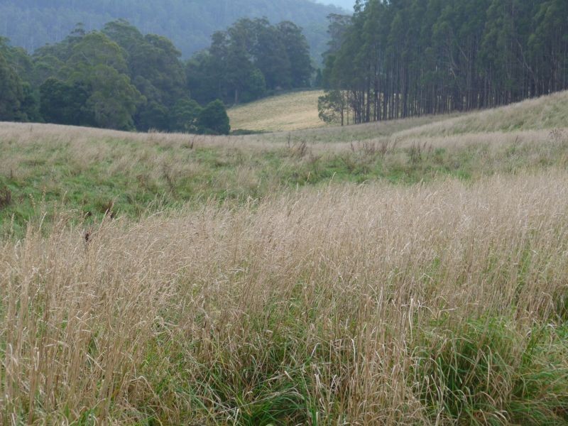 0 Barrington Road, Barrington, Sheffield TAS 7306