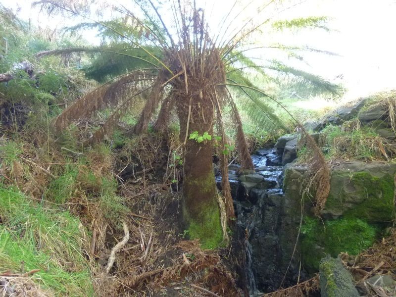 901 West Kentish Road, West Kentish TAS 7306