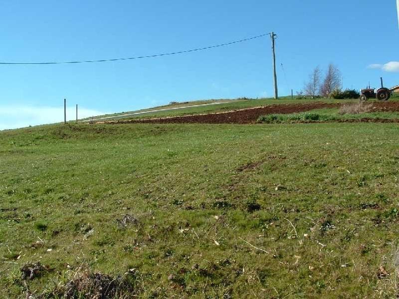 2 Landon Place, Sheffield TAS 7306