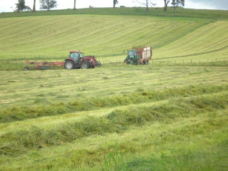 721 Sunnyside Road, Sunnyside TAS 7305