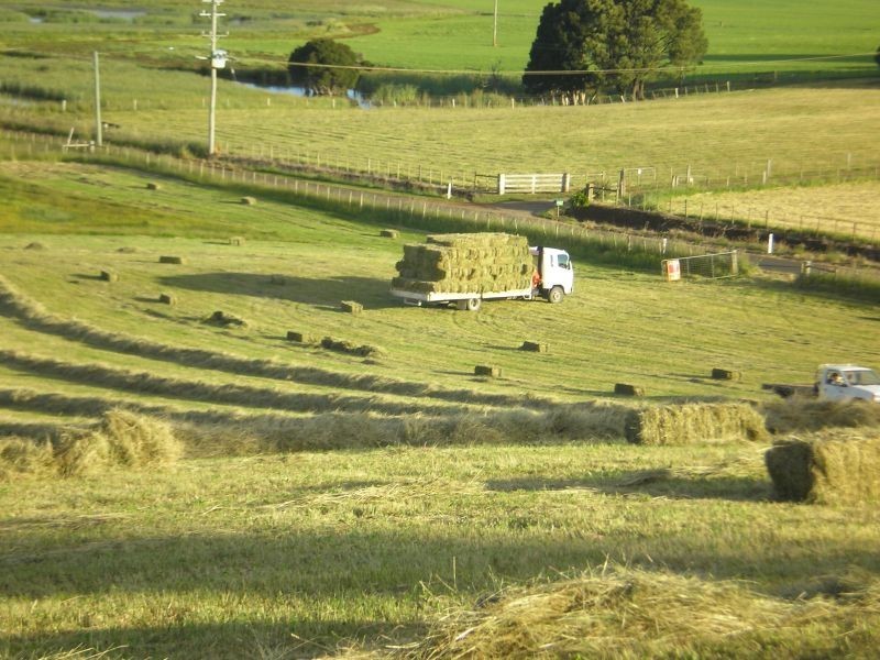 721 Sunnyside Road, Sunnyside TAS 7305