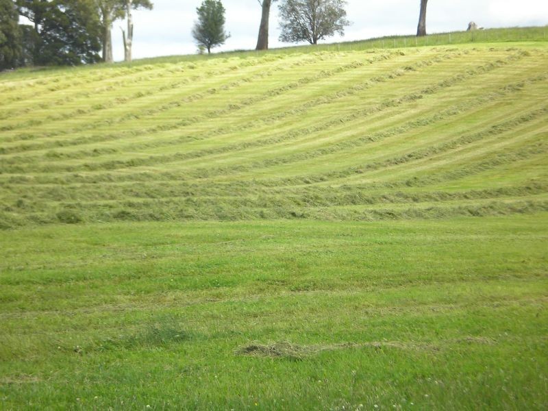 721 Sunnyside Road, Sunnyside TAS 7305