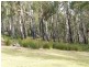 146 McCoys Road, Sheffield TAS 7306