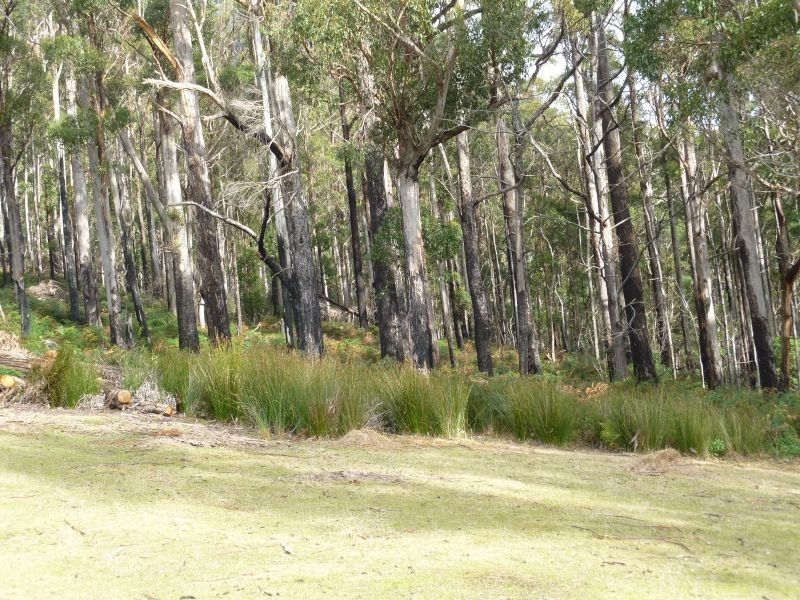 146 McCoys Road, Sheffield TAS 7306