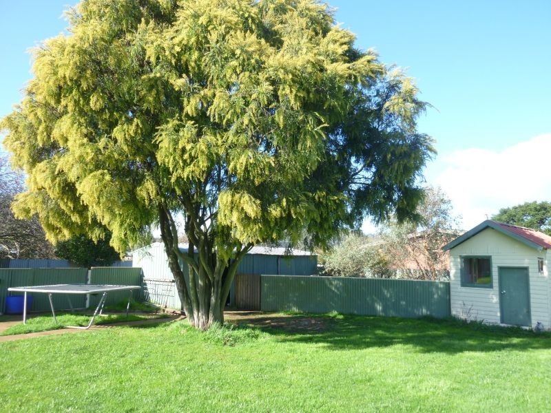 10 Johnson Street, Sheffield TAS 7306