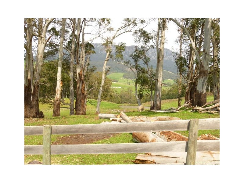 146 Jeffries Road, Sheffield TAS 7306