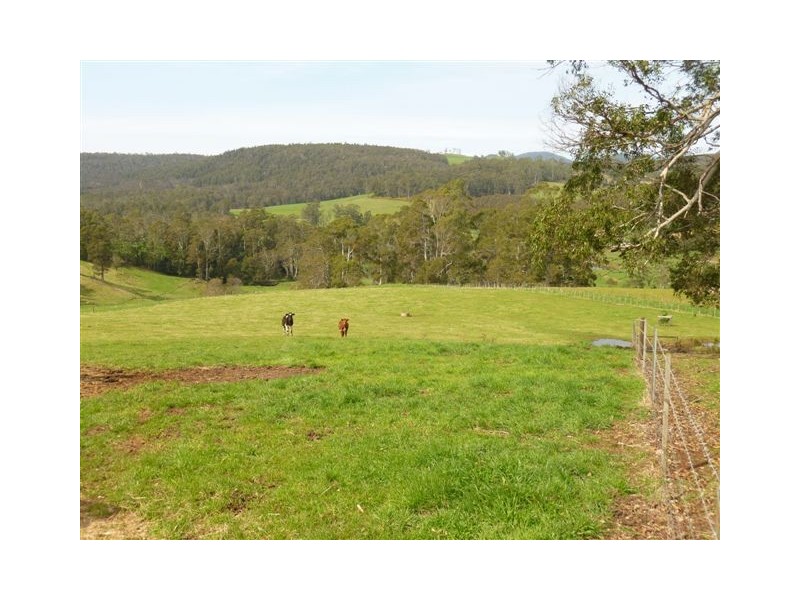 146 Jeffries Road, Sheffield TAS 7306