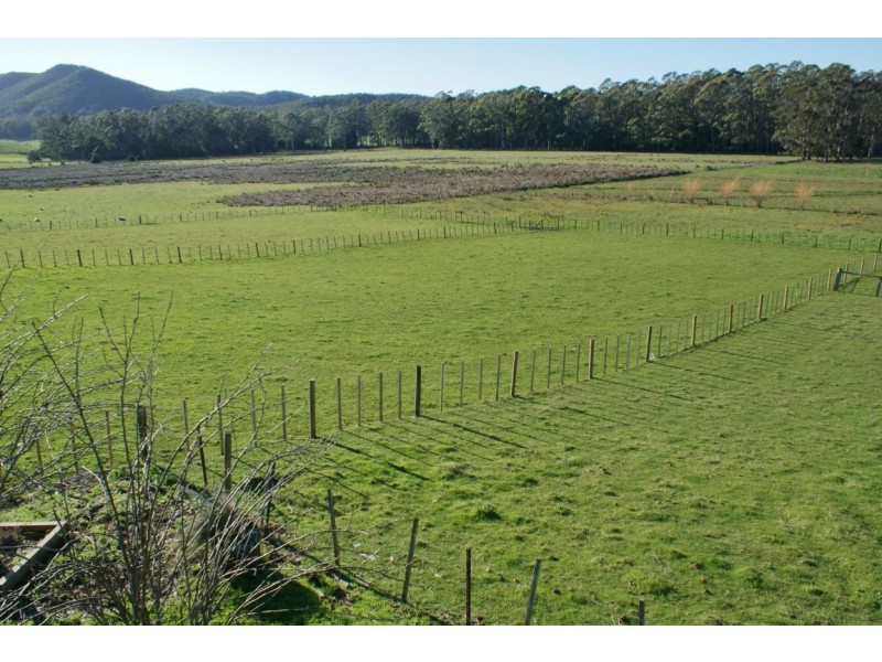 5 Victoria Street, Sheffield TAS 7306