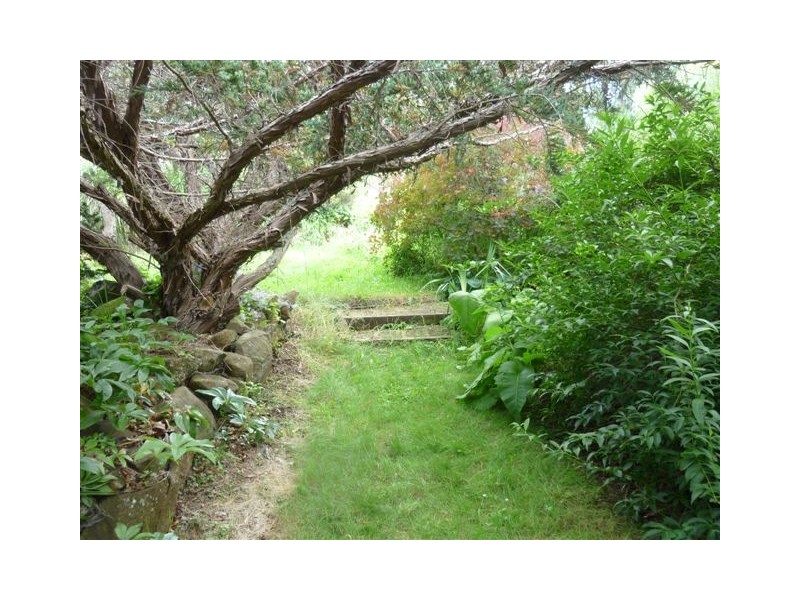 134 Old Paradise Road “Selika”, Sheffield TAS 7306