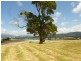 58 Weeks Road, Barrington TAS 7306