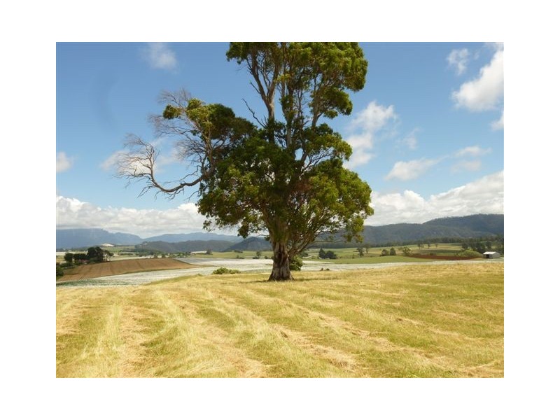 58 Weeks Road, Barrington TAS 7306