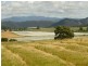58 Weeks Road, Barrington TAS 7306