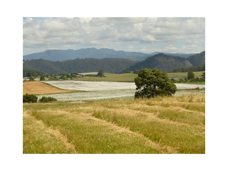 58 Weeks Road, Barrington TAS 7306