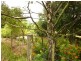416 Nowhere Else Road, Nowhere Else TAS 7306