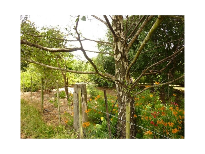 416 Nowhere Else Road, Nowhere Else TAS 7306
