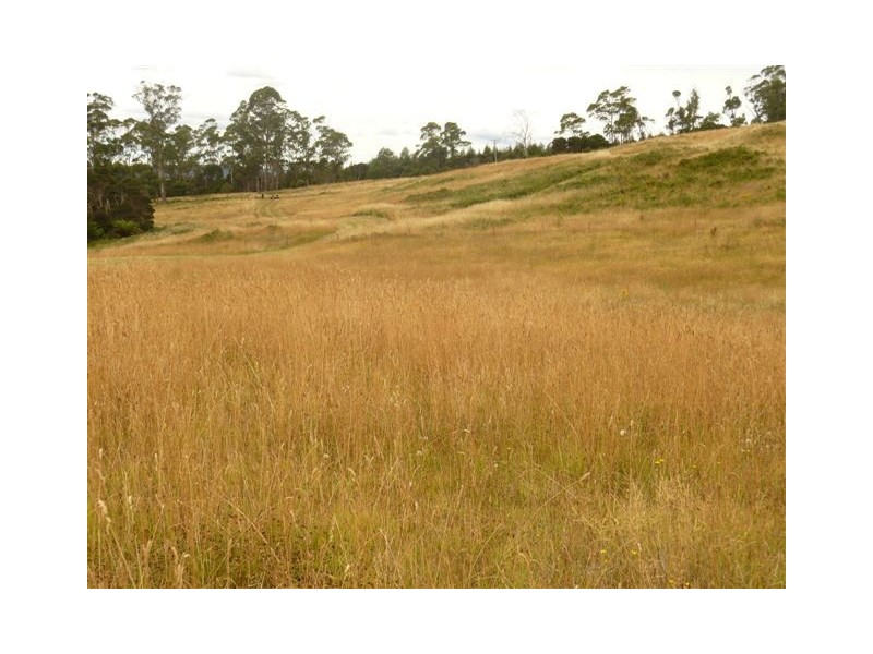 128 Maloneys Road, Sunnyside TAS 7305