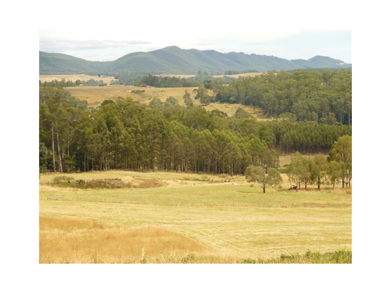 128 Maloneys Road, Sunnyside TAS 7305