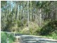 Lot 1 West Kentish Road, West Kentish TAS 7306