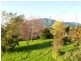 168 Staverton Road, Roland TAS 7306