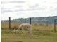 168 Staverton Road, Roland TAS 7306