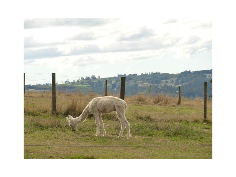168 Staverton Road, Roland TAS 7306