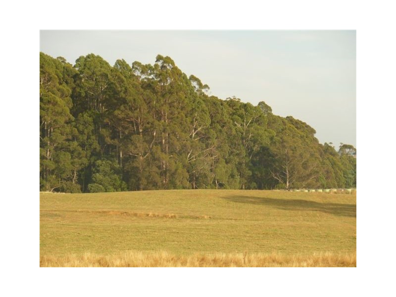 168 Staverton Road, Roland TAS 7306