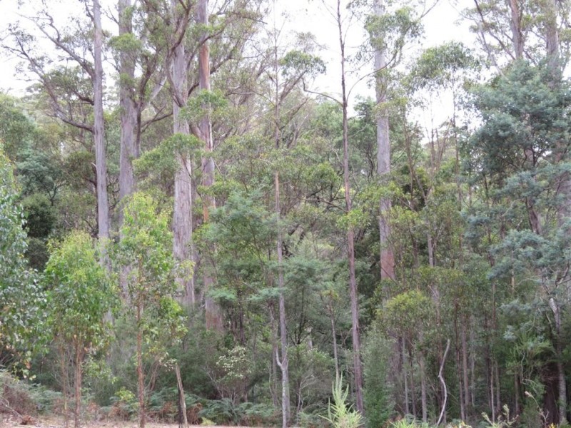 1400 Claude Road, Gowrie Park TAS 7306