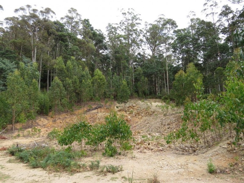 1400 Claude Road, Gowrie Park TAS 7306