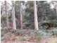 1400 Claude Road, Gowrie Park TAS 7306