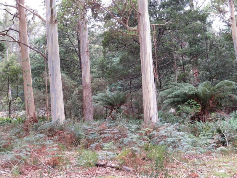 1400 Claude Road, Gowrie Park TAS 7306