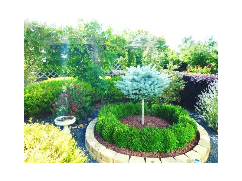 95 High Street, Sheffield TAS 7306