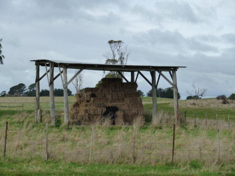 498 Sunnyside Road, Sunnyside TAS 7305