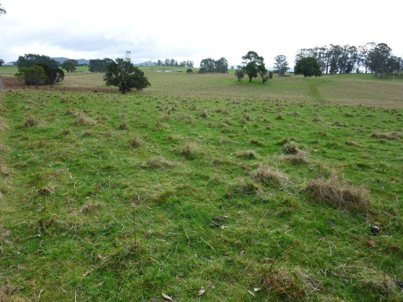 498 Sunnyside Road, Sunnyside TAS 7305