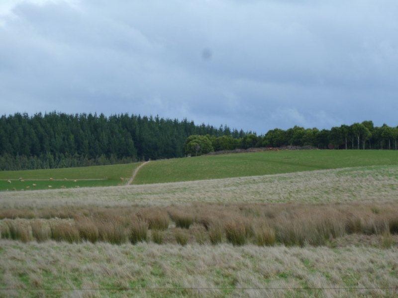 498 Sunnyside Road, Sunnyside TAS 7305