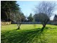 29 Henry Street, Sheffield TAS 7306
