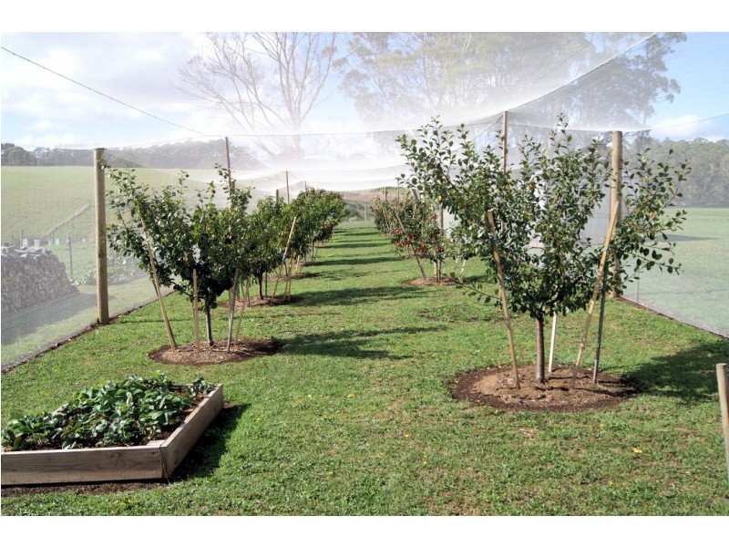 39 Formby Street, Sheffield TAS 7306