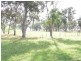 144 Old Paradise Road, Sheffield TAS 7306